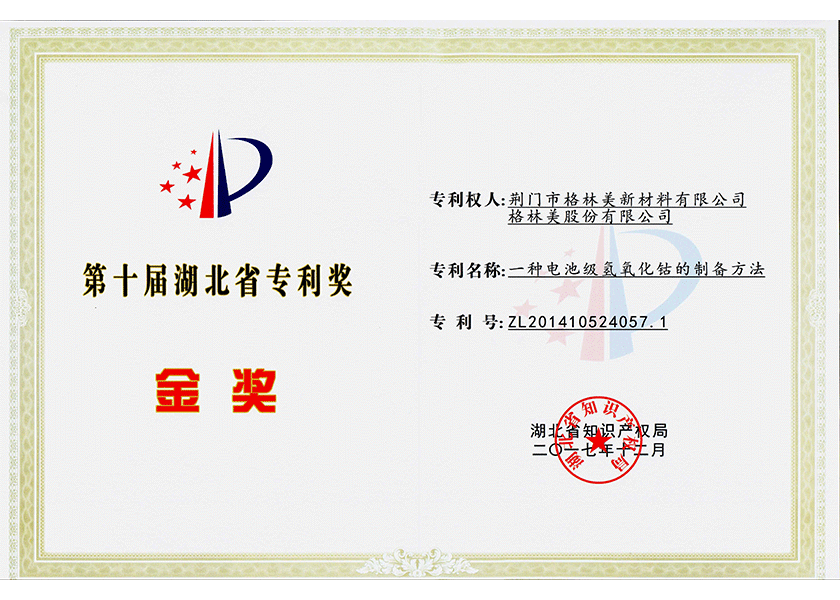 26.湖北省專利獎金獎.png