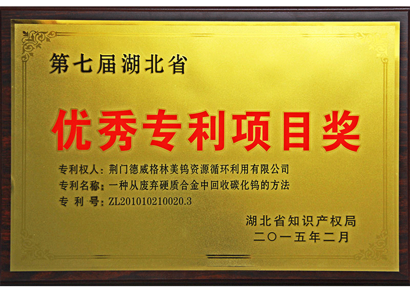 27.湖北優秀專利項目獎.png