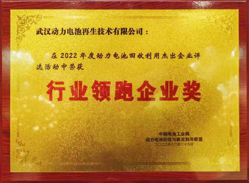 行業領跑企業獎.png