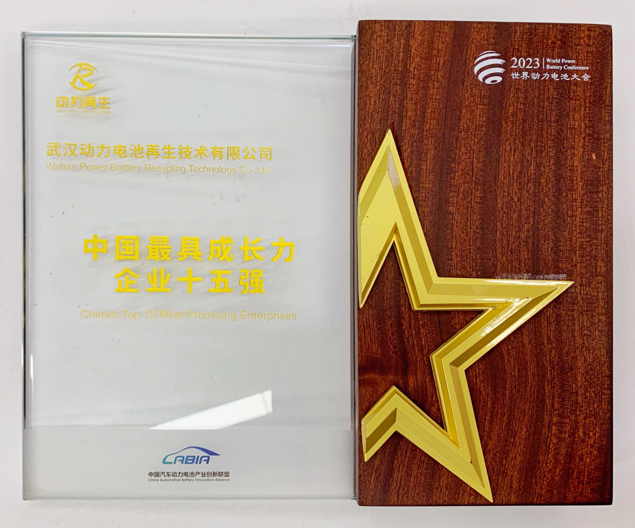 中國最具成長力企業十五強.jpg